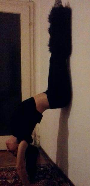 Sydnie (18), Texas adult dating profile image